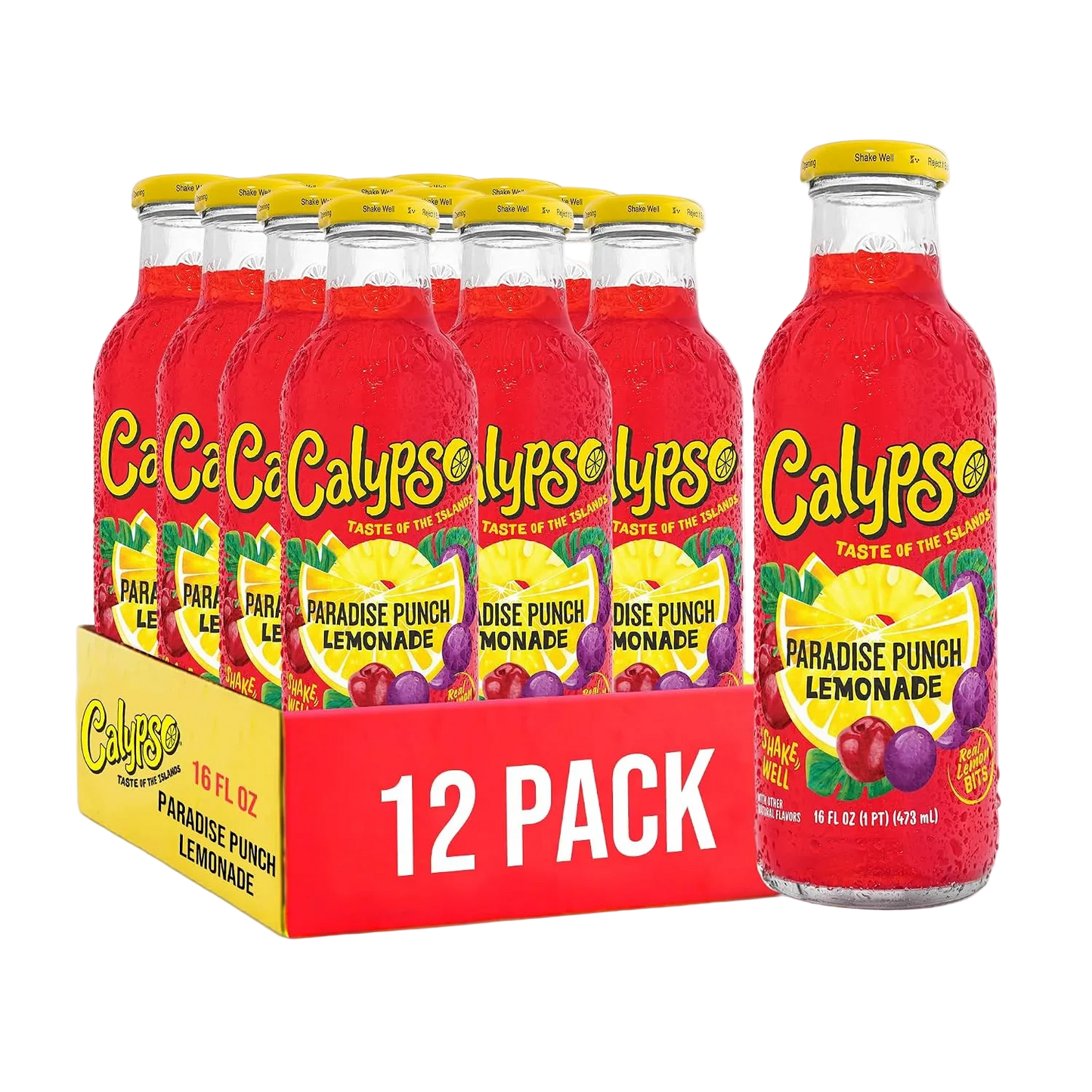Calypso Paradise Punch 12/16oz