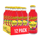 Calypso Paradise Punch 12/16oz