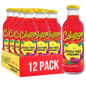 Calypso Paradise Punch 12/16oz