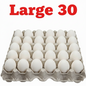 Eggs L Loose 30 Dzns