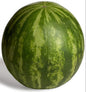 Seedless Watermelon