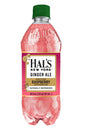 Hal's New York Flavored Ginger Ale, Raspberry, 20 Oz (Pack of 24)