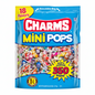 Halloween Candies Charms Mini Pops Assorted Flavors 350ct